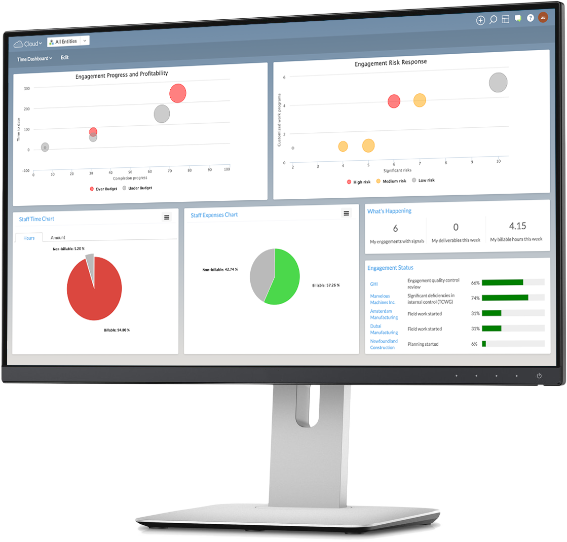 Caseware Practice Management